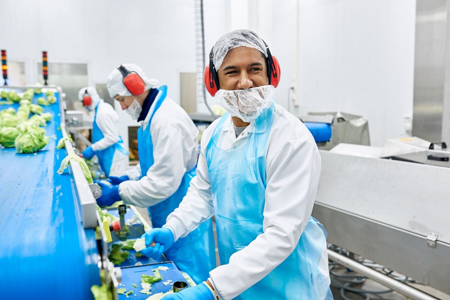 Preventing Contamination: Effective Lint Removal Solutions for Food Processing Facilities